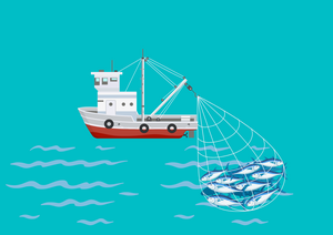 Можно ли применять ПСН при розничной торговле живой рыбой